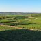 vue panoramique sur les coteaux du vignoble pendant les vendanges précoces-Métalinox
