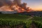 vignoble impacté par les feux